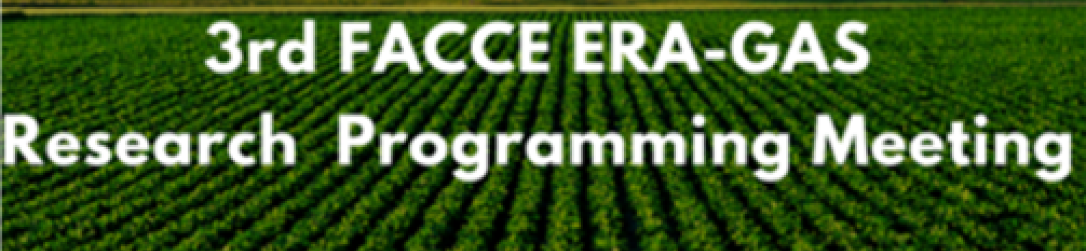 3rd FACCE ERA-GAS 2016 Call RPM