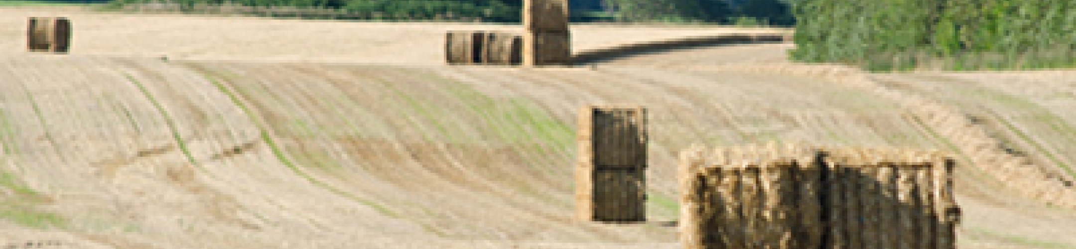 Announcement of 3rd FACCE SURPLUS Call for proposals