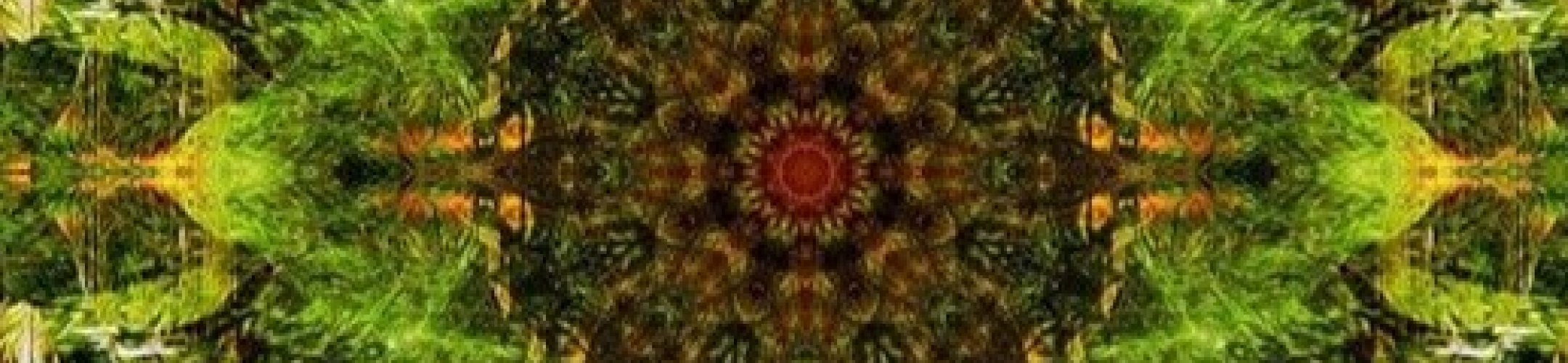 ERA Initiatives Joining Forces