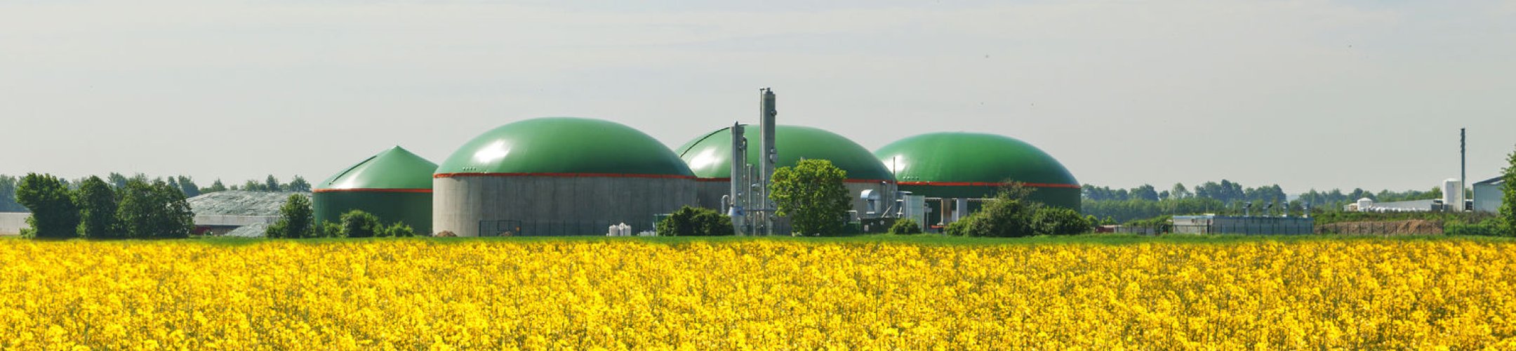 ERA-Net Cofund FACCE SURPLUS