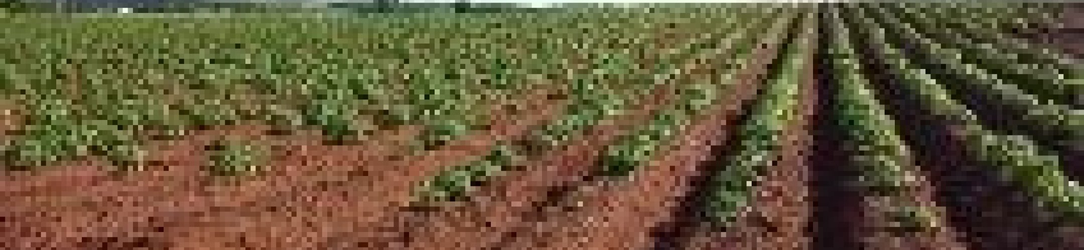 European Joint Programme Cofund on Agricultural Soil Management