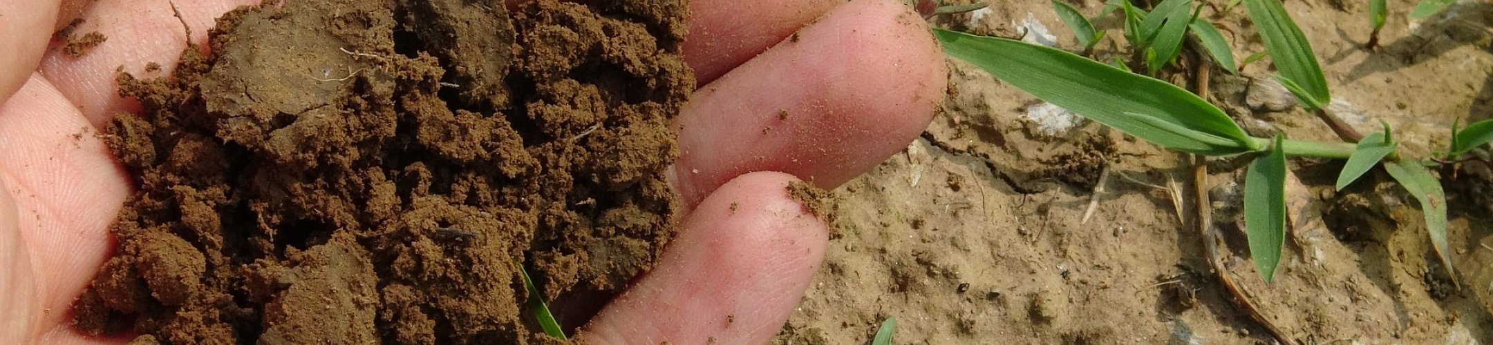 European Joint Programming on Soil