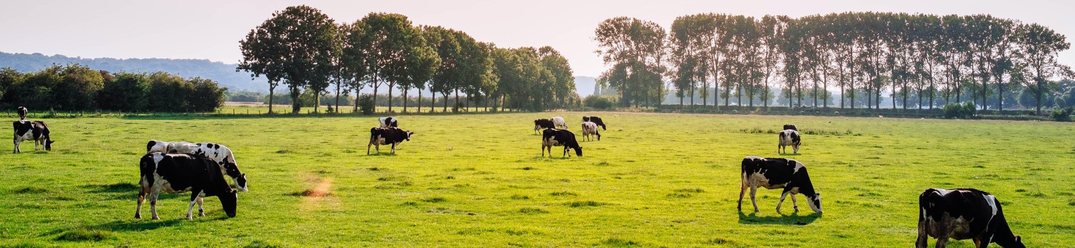 FACCE ERA-GAS project M4Models webinar on 'Methane emissions from manure management –
      monitoring and mitigation'