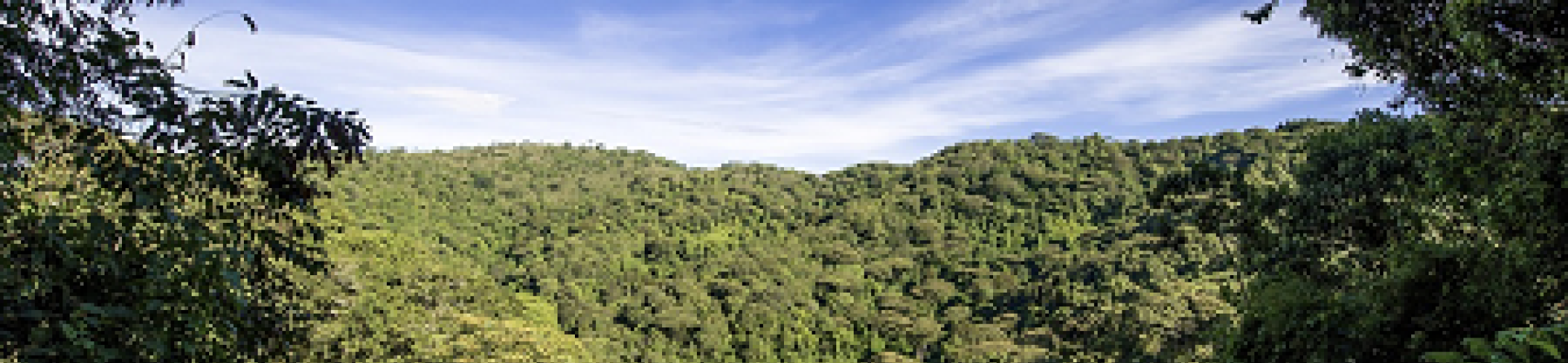 FACCE ERA-GAS research project contributes to new Nature publication