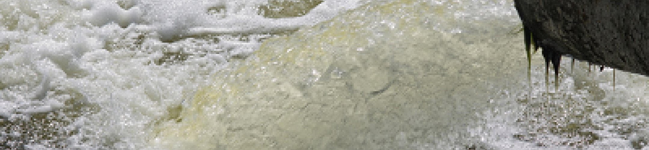 FACCE-JPI and Water JPI explore possibilities for further cooperation