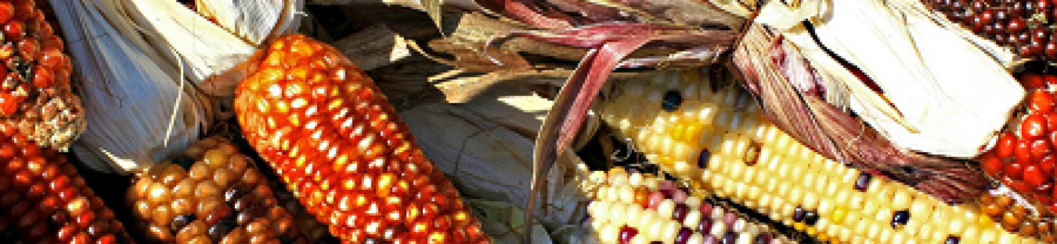 FOSC ERA-NET selects 17 projects for funding