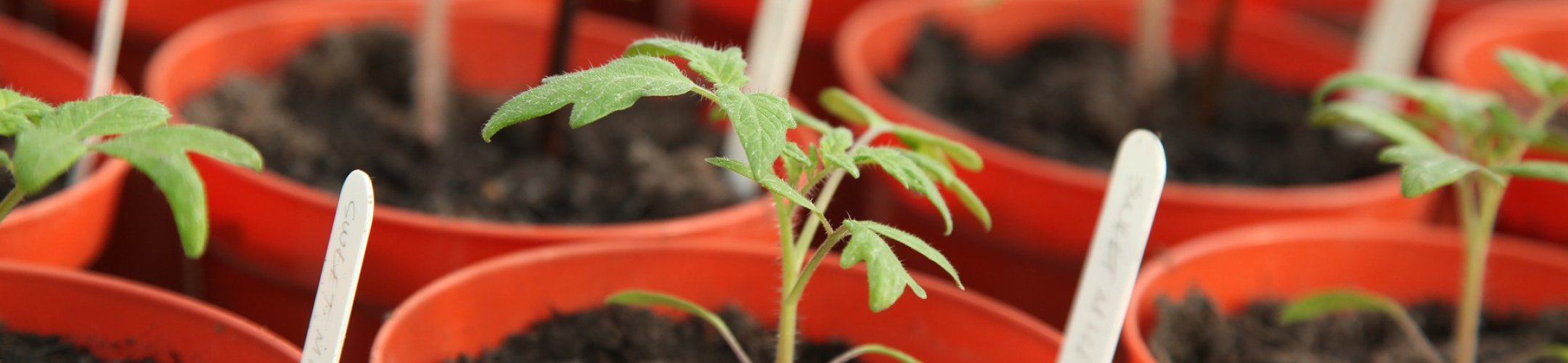 FOSC Projects kick-off workshop