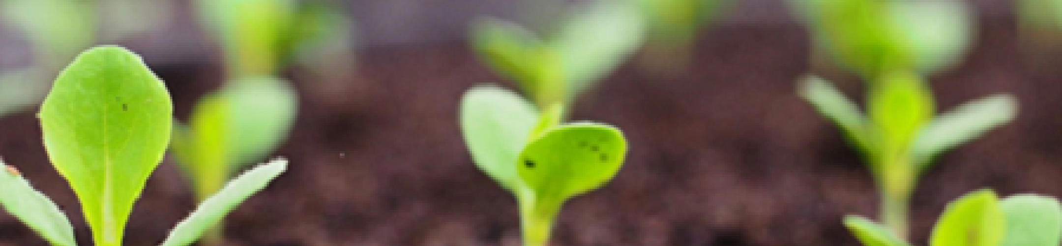 First external call of EJP SOIL is open