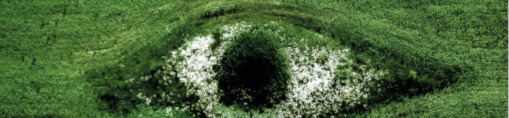 Get to know FACCE-JPI! New FACCE in Brief released