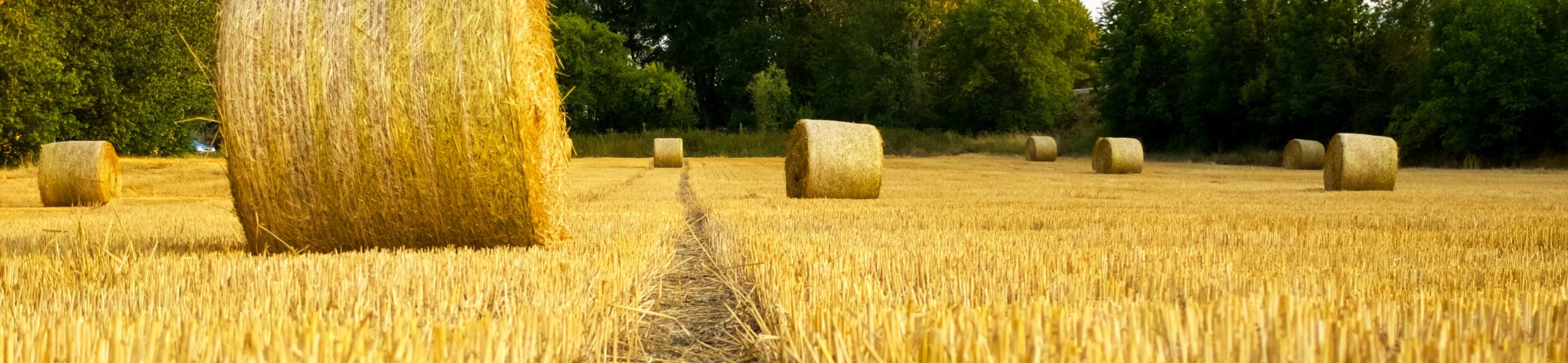 Green ERA-Hub Webinar for applicants