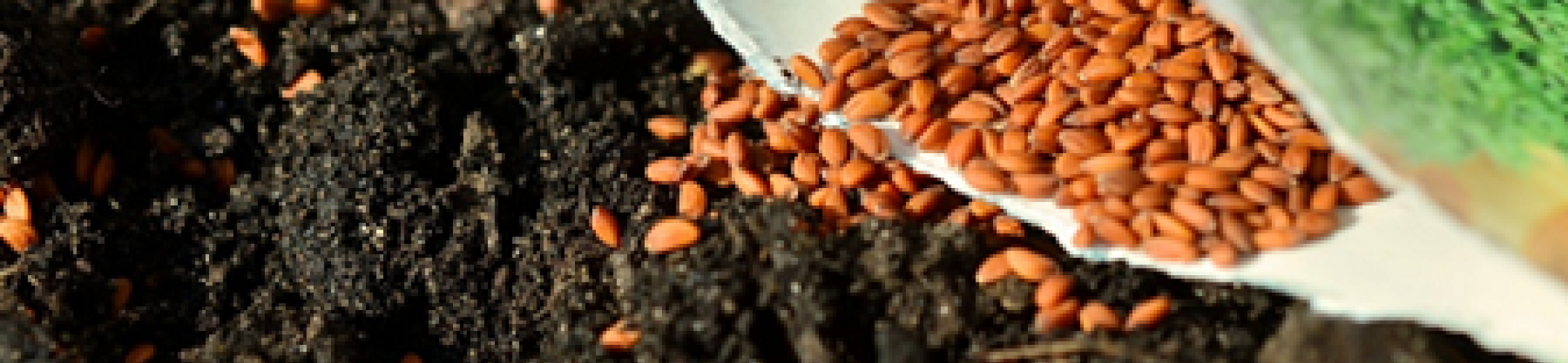 Innovative solutions for food systems call open