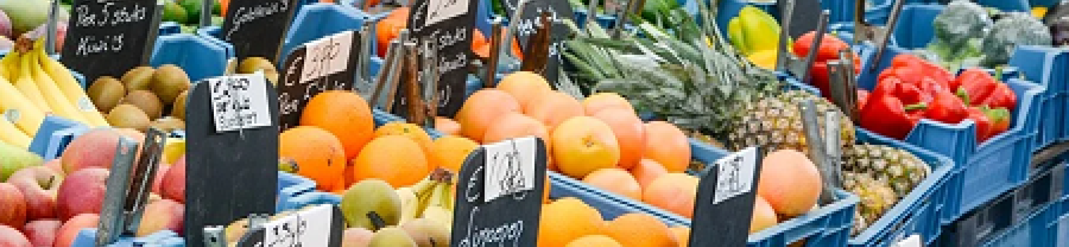 Learn more about FOSC ERA-NET through its’ first newsletter