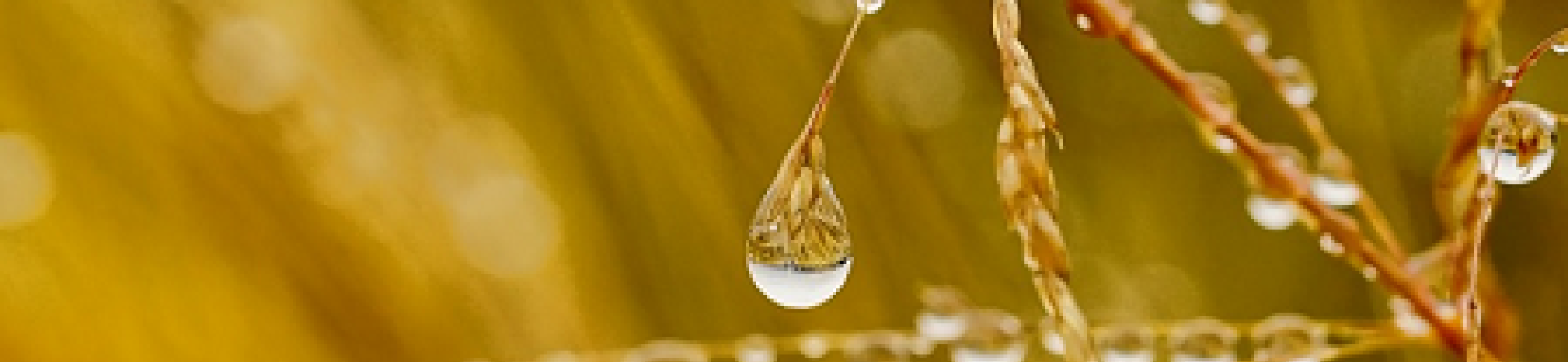 Moving forward at greater speed and cohesion to reach Europe’s sustainable goals