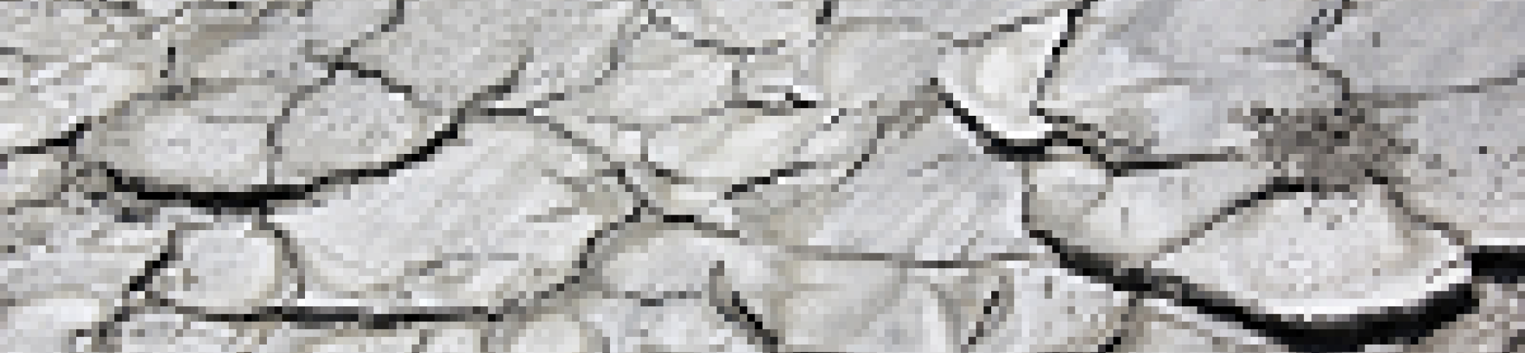 New Science-Policy Interface expected to start second half of 2020