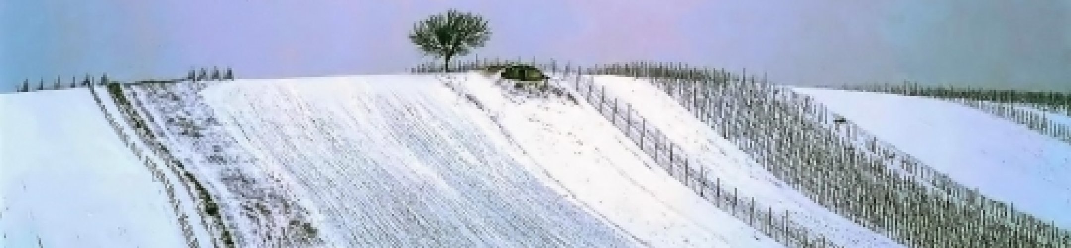 News from FACCE SURPLUS