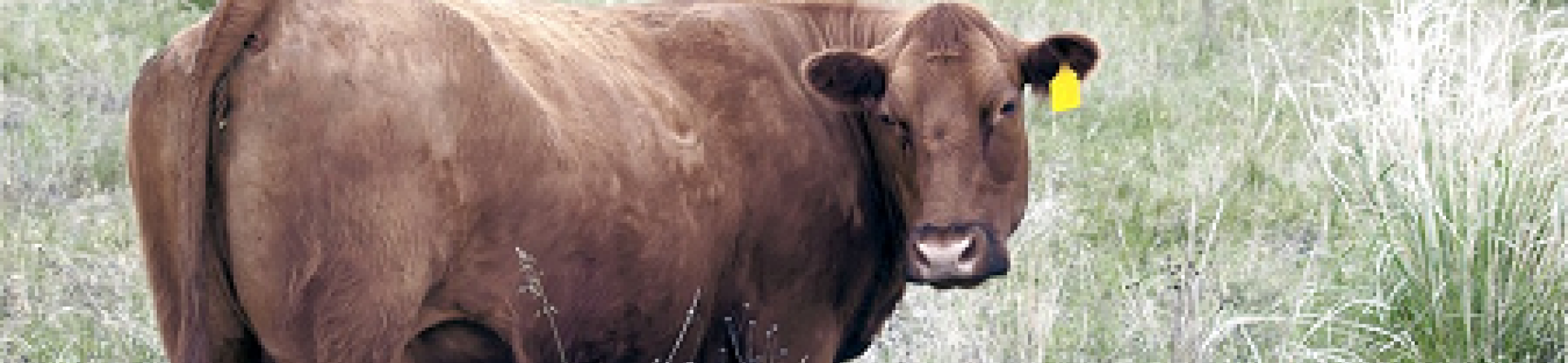 Open panel discussion: the Science-Policy Knowledge Forum kicks off