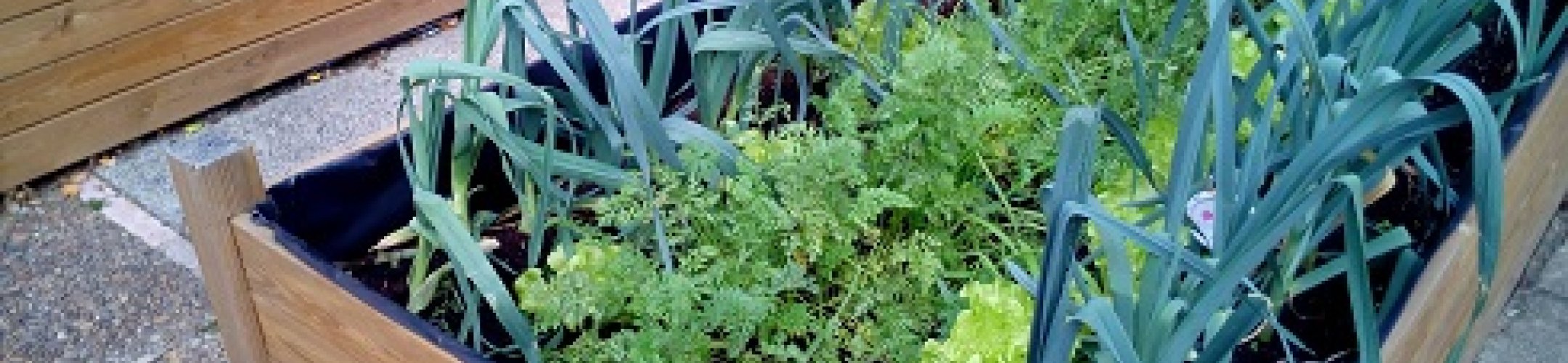 Report from the FACCE-JPI Exploratory Workshop on Urban Agriculture published