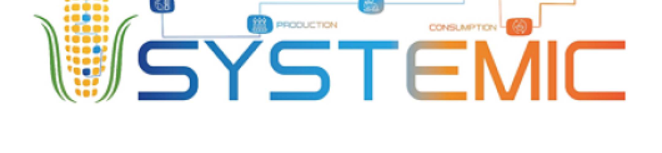 SYSTEMIC final symposium