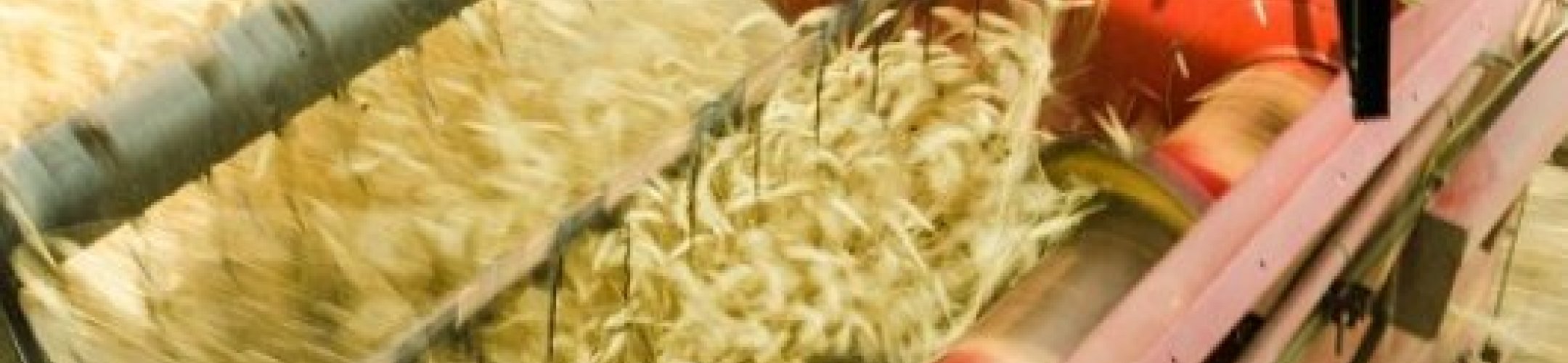 Save the Date! FACCE-SURPLUS meeting 28-29 September