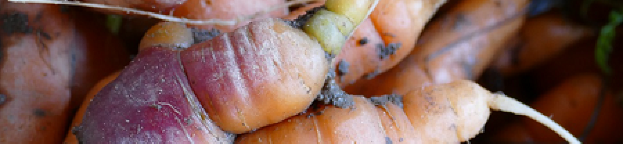 Second-class vegetables, first-class food