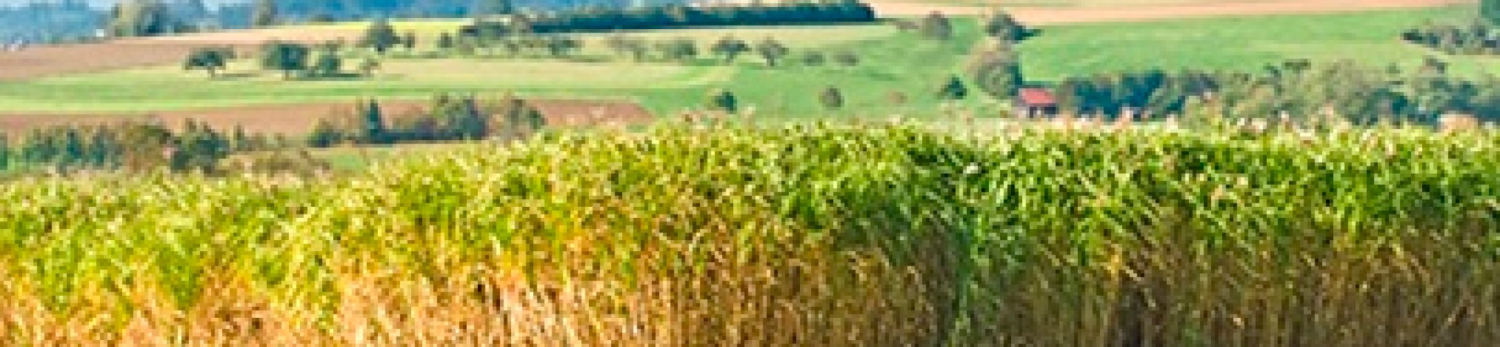 Six new projects selected in the 3rd FACCE SURPLUS call