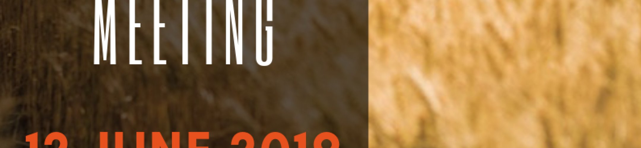 Successful FACCE ERA-GAS 2nd Research Programme Meeting in Amsterdam