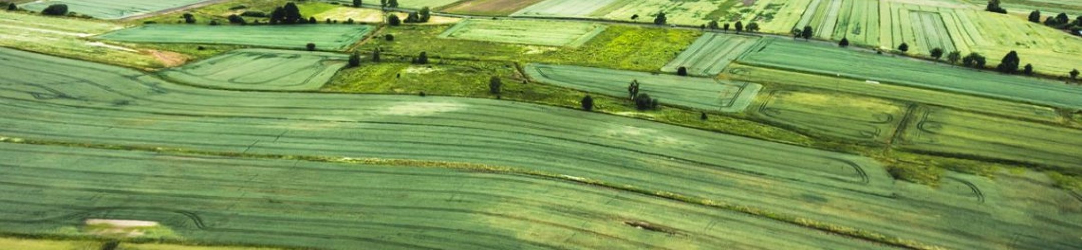 SusCrop Funded Projects Kick-off Meeting and workshops on sustainability and data in
      Belgium