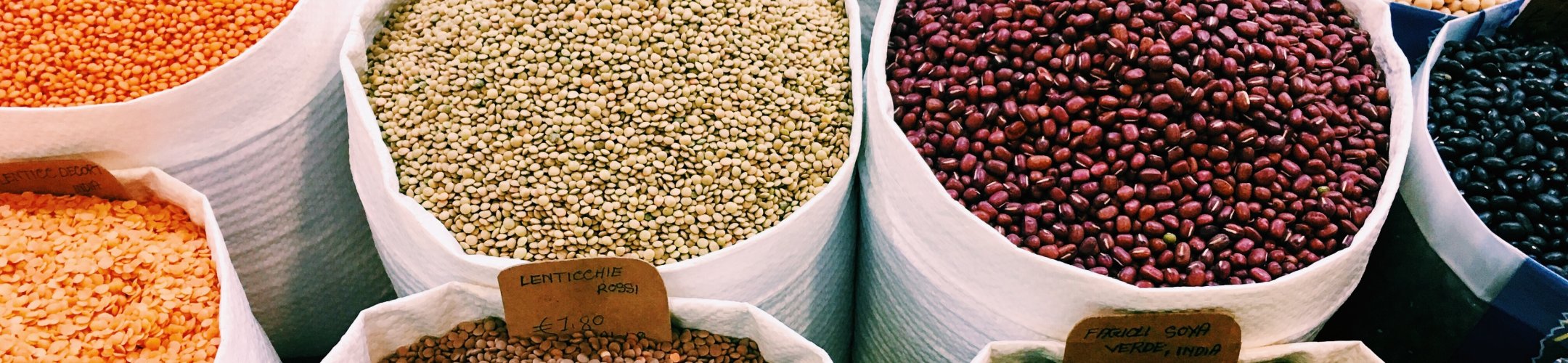 SusCrop final meeting and open workshop on additional research priorities for sustainable
      crop production