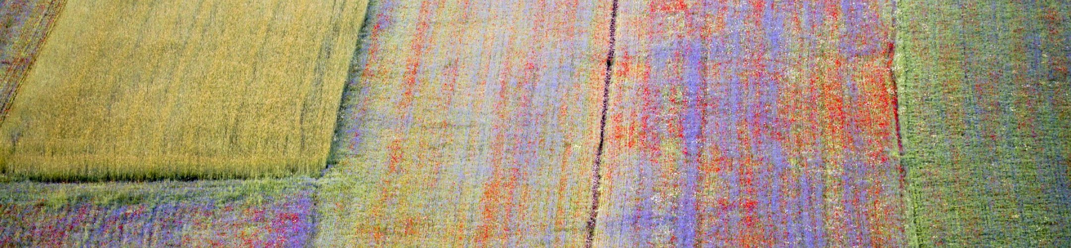 SusCrop video competition winners announced! 12 inspiring videos now on Youtube