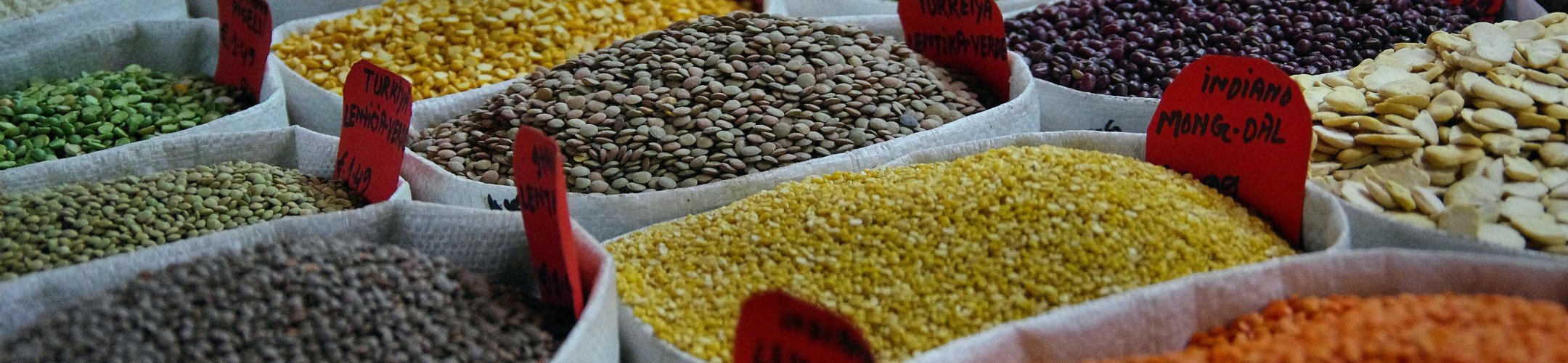 SusCrop workshop on crop proteins 14-15 November 2022