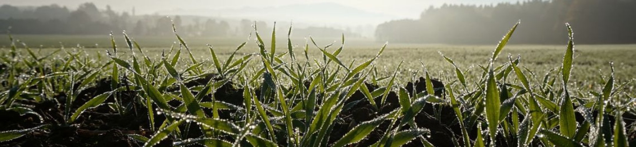 The ERA-Net Cofund on Food Systems and Climate (FOSC) launched its website and a press
      release