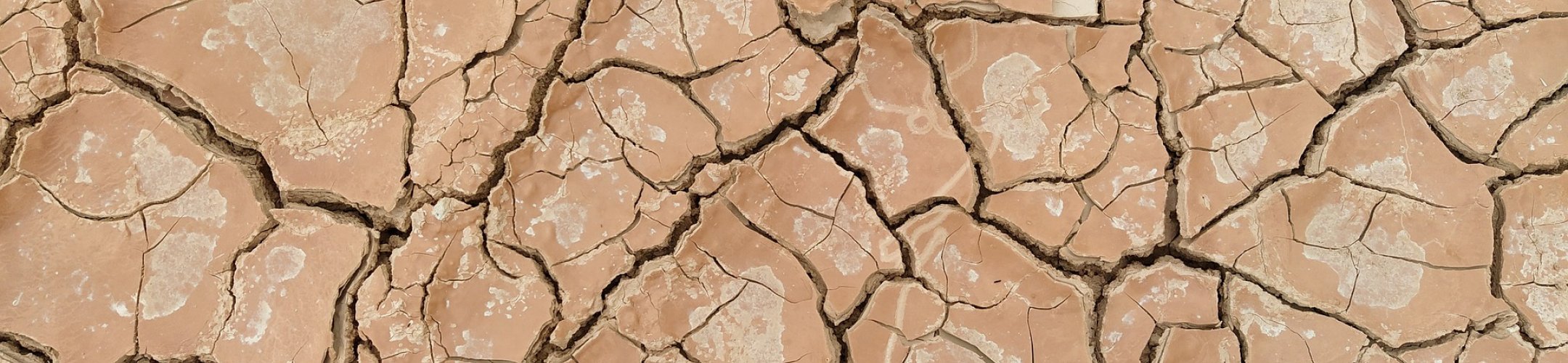 Thematic Annual Programming (TAP) Soil