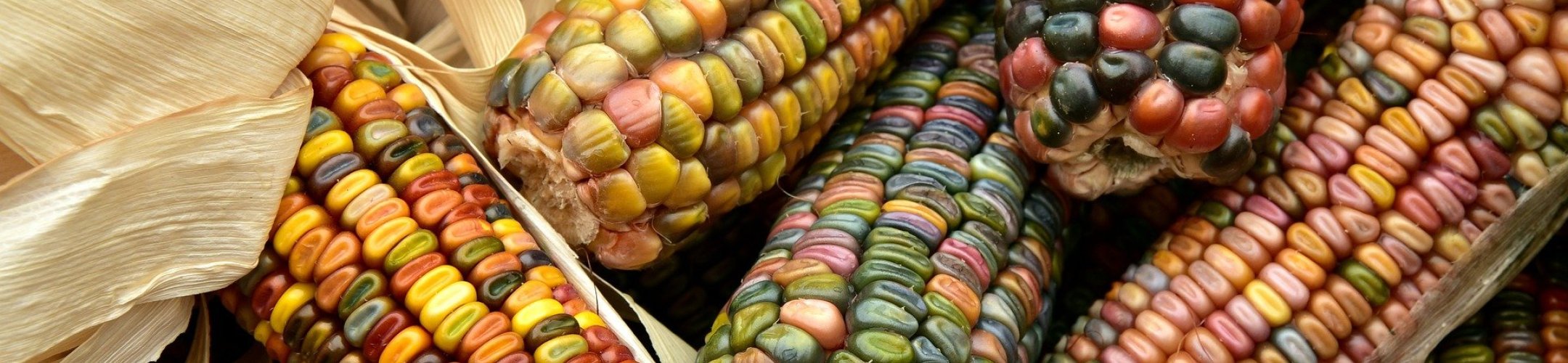 Thematic Spolight on...Food Security and Climate Change