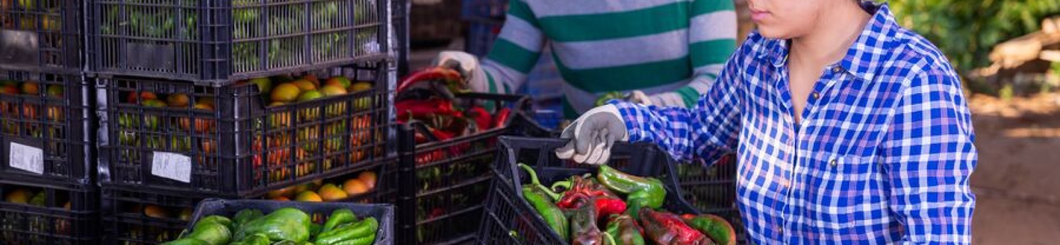 Thematic Spotlight on...Governance