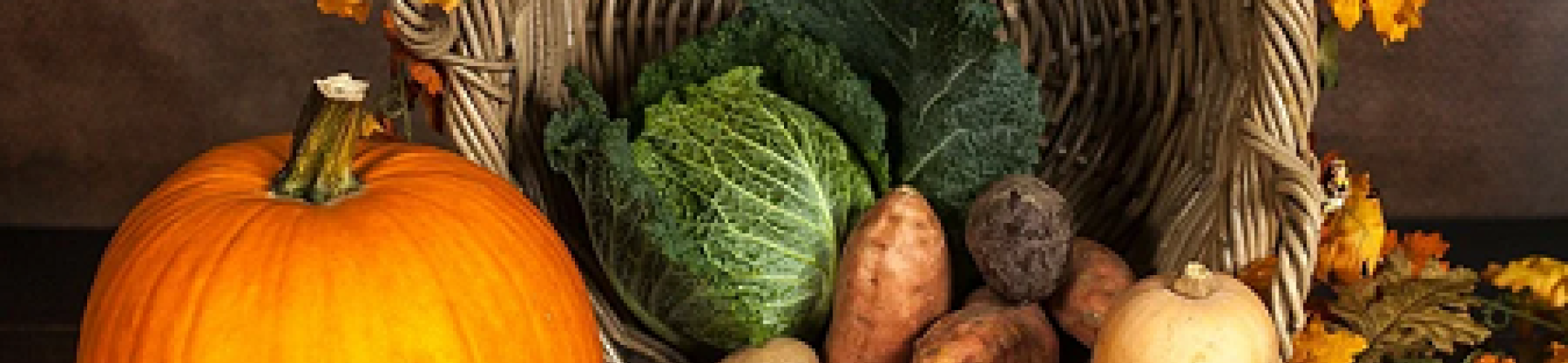 UNFSS Brief: Making Plurality Visible