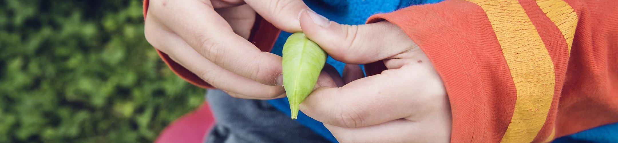 Valorisation Workshops