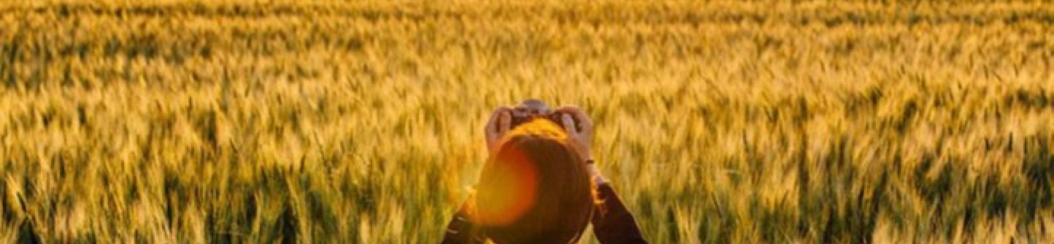 Video contest on sustainable crop production