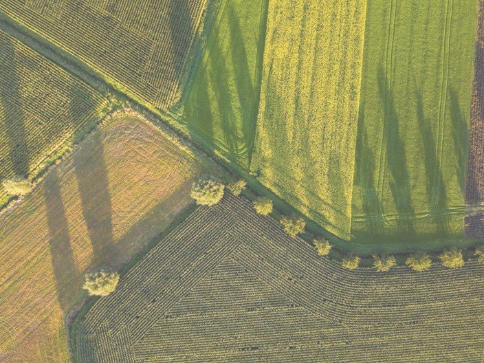 aerial view of green field