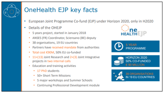 OHEJP_key_facts1.png OHEJP_key_facts1.png