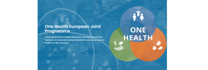 OHEJP_Start2.png OHEJP_Start2.png