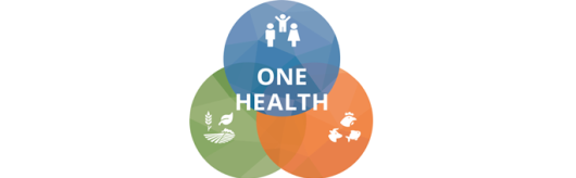 OH_EJP4.png OH_EJP4.png