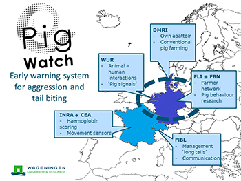 pigwatch.png pigwatch.png